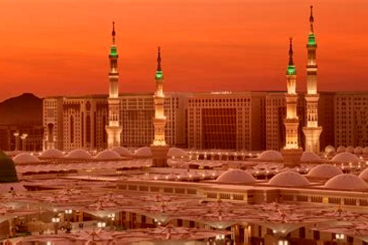 Harper, 27 — Escort in Medinah, United States