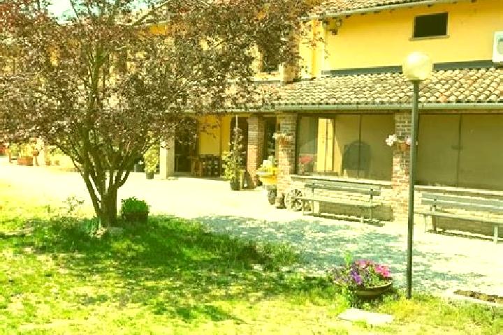 Harper, 28 — Escort in Vellezzo Bellini, Italy