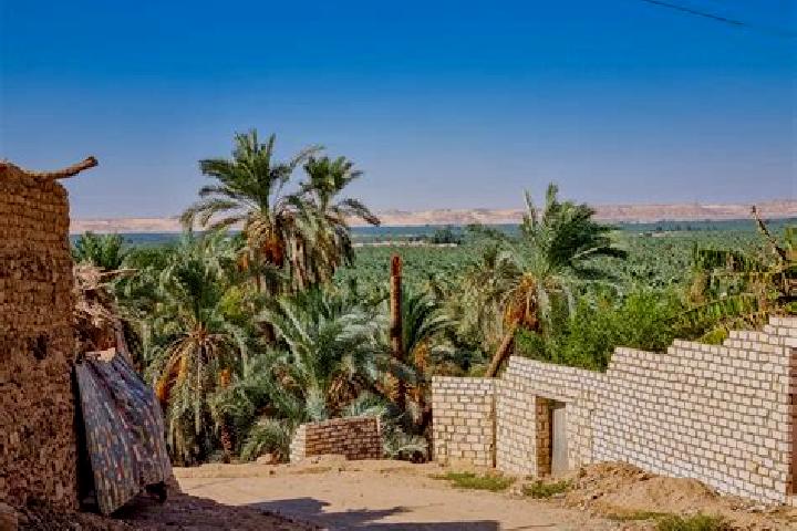 Harper, 29 — Escort in Al Bawiti, Egypt
