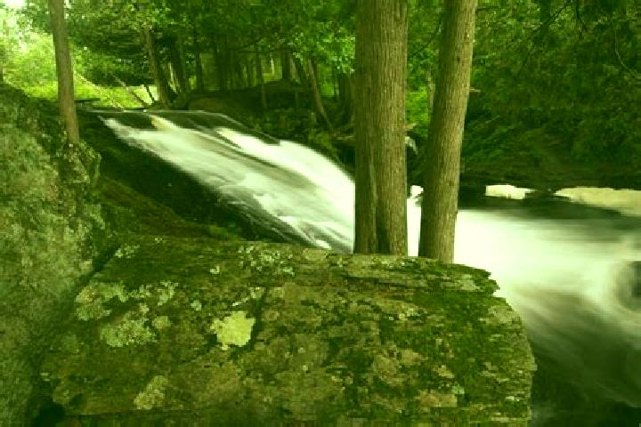 Harper, 30 — Escort in Crystal Falls, United States