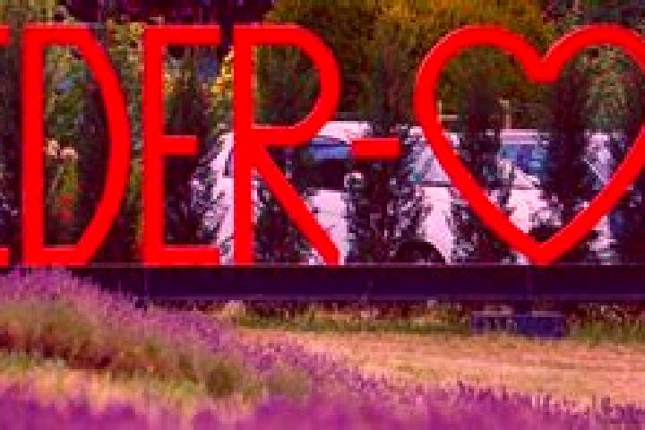 Harper, 30 — Escort in Nieder-Olm, Germany