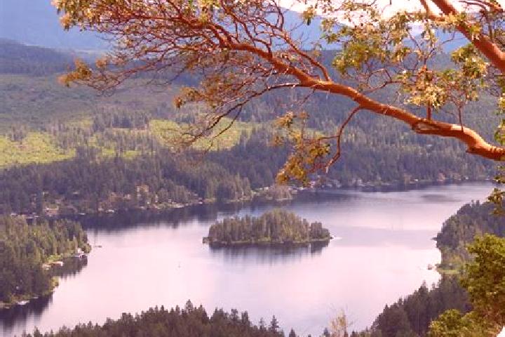 Harper, 30 — Escort in Shawnigan Lake, Canada
