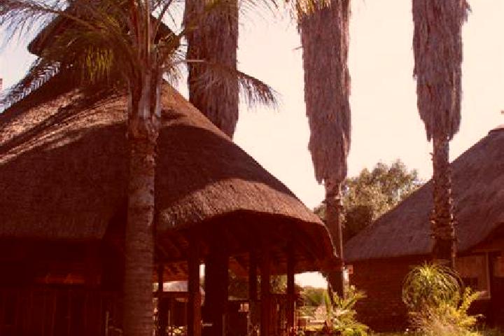 Harper, 30 — Escort in Thabazimbi, South Africa