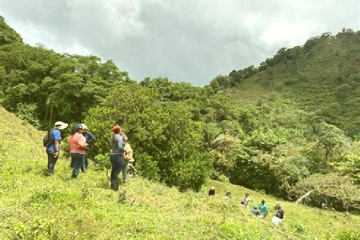 Harper, 31 — Escort in Mata Ahogado, Panama