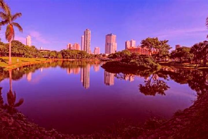 Harper, 31 — Escort in Santa Cruz de Goias, Brazil