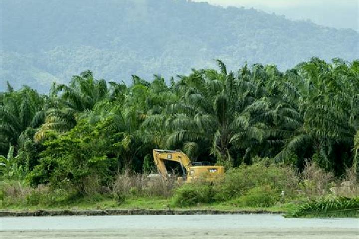 Harper, 32 — Escort in Cuyamel, Honduras
