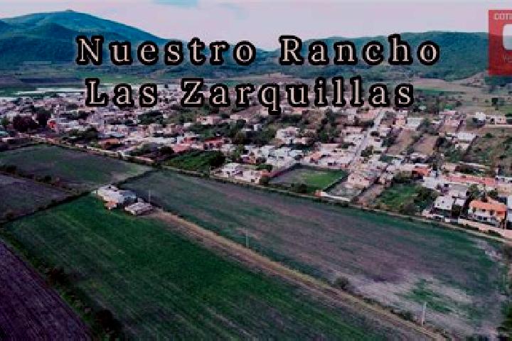 Harper, 33 — Escort in Las Zarquillas, Mexico