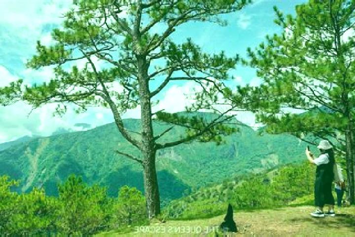 Harper, 33 — Escort in Paitan Norte, Philippines