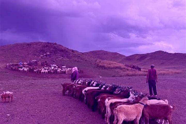Harper, 33 — Escort in Togrog, Mongolia