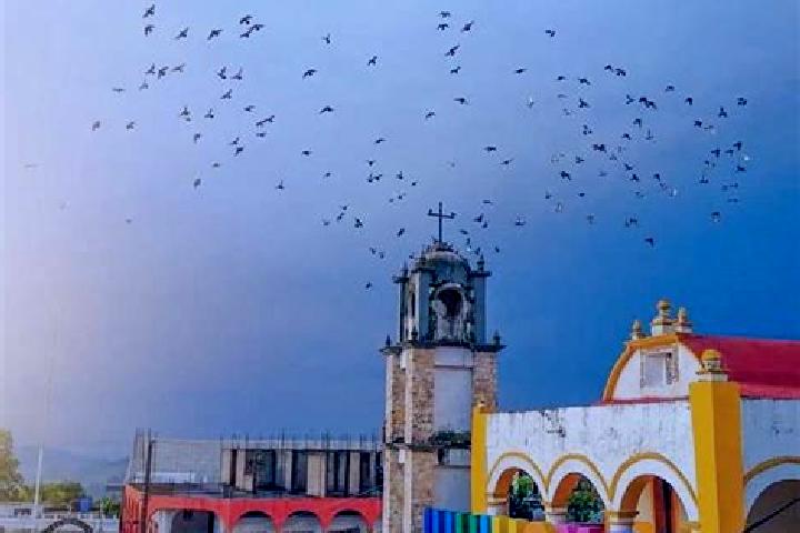 Harper, 34 — Escort in Coxquihui, Mexico