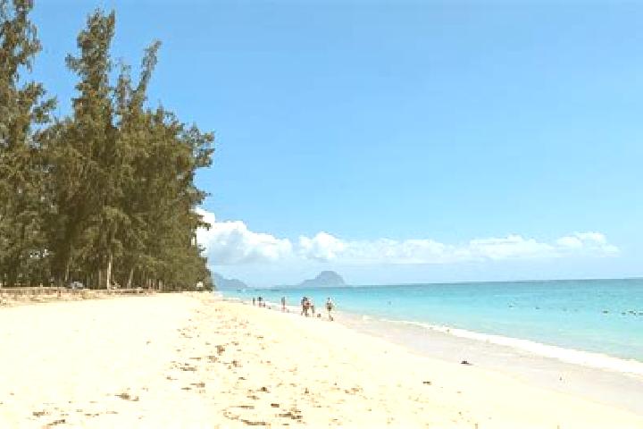 Harper, 34 — Escort in Poste de Flacq, Mauritius
