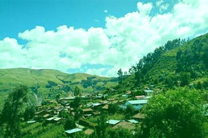 Harper, 35 — Escort in Huambalpa, Peru