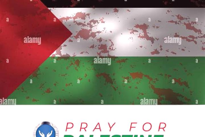 Harper, 35 — Escort in Qibyah, Palestine