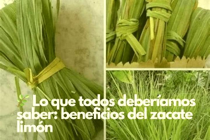 Harper, 35 — Escort in Zacate Limon, Mexico