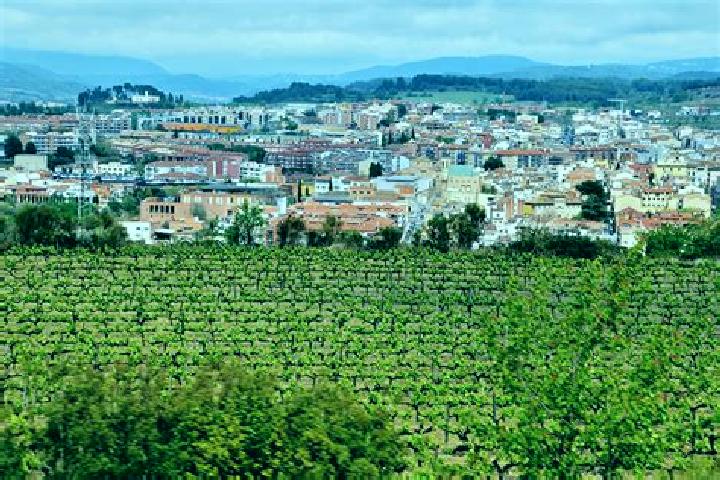 Harper, 36 — Escort in Sant Sadurni d Anoia, Spain