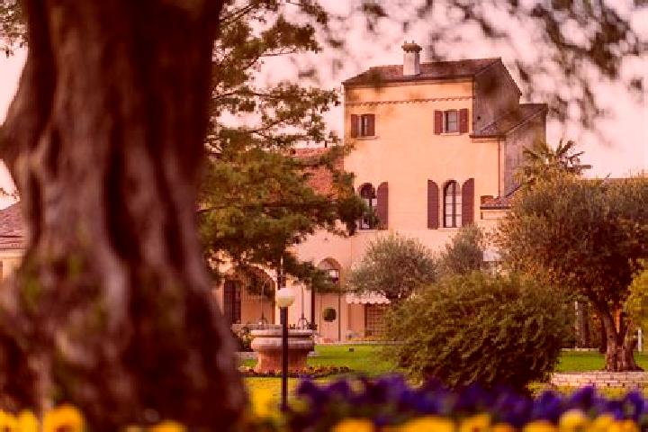 Harper, 36 — Escort in Stanghella, Italy