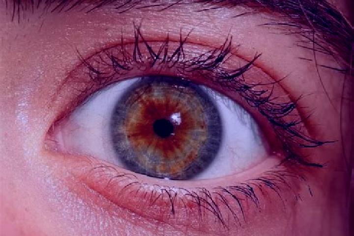 Harper, 37, a red hazel-eyed slavic companion based in Esslingen. Offering 69, Domination, A-Level. Available for incall and outcall, day and evening dates.