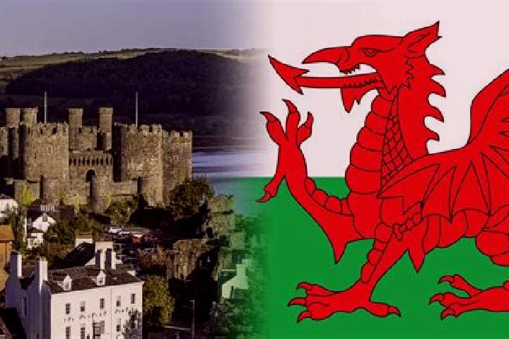 Harper, 37 — Escort in Abertridwr, United Kingdom