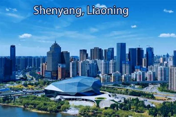Harper, 37 — Escort in Shangyang, China