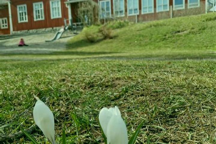 Harper, 39 — Escort in Punkalaidun, Finland
