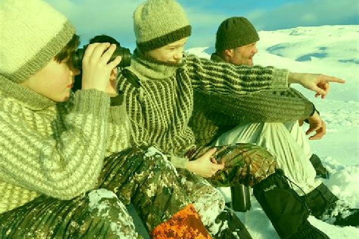Harper, 39 — Escort in Storforshei, Norway