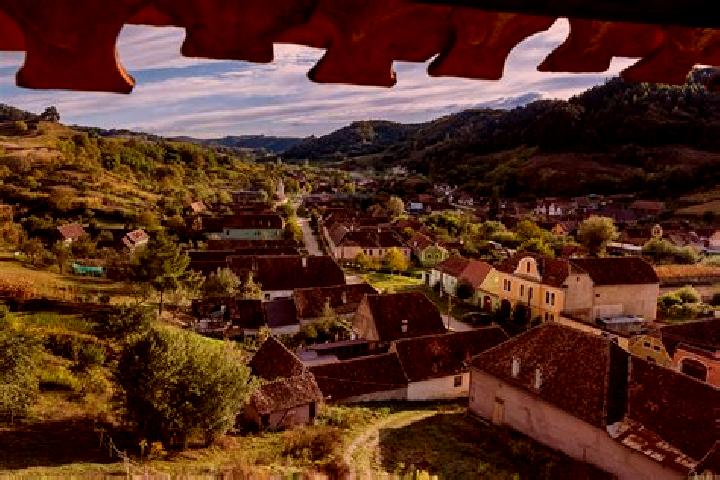 Harper, 39 — Escort in Talpigi, Romania