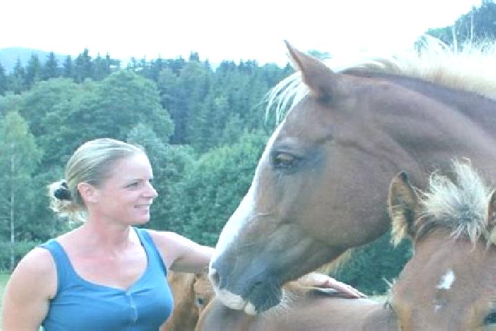 Harper, 39 — Escort in Unterweissenbach, Austria