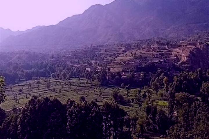 Hazel, 20 — Escort in Batwar Salarzai, Pakistan