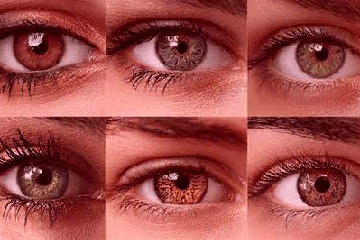Hazel, 21, a red hazel-eyed middle eastern companion based in Vrede. Offering Tantra, Erotic Massage, Overnight. Available for incall and outcall, overnight ...