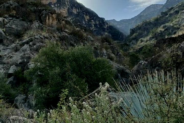 Hazel, 22 — Escort in Sierra Mojada, Mexico