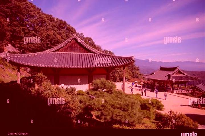 Hazel, 22 — Escort in Yeongju, South Korea