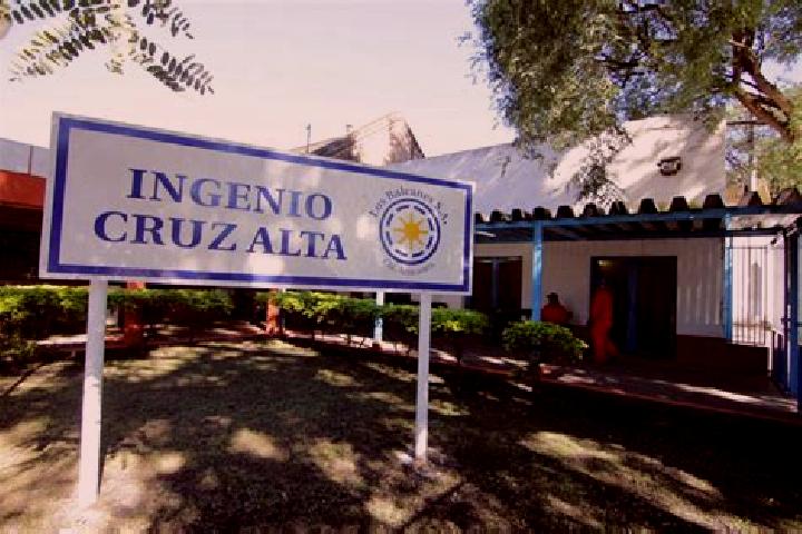 Hazel, 23 — Escort in Cruz Alta, Argentina