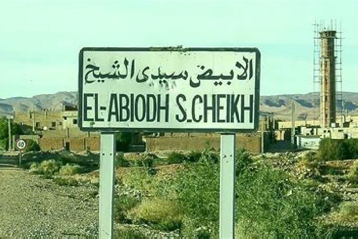 Hazel, 23 — Escort in El Abiodh Sidi Cheikh, Algeria
