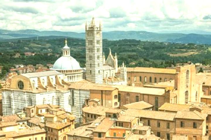 Hazel, 24 — Escort in Siena, Italy