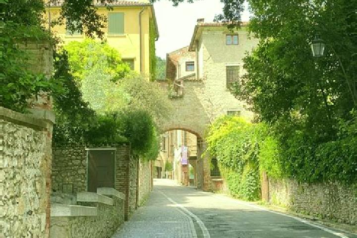 Hazel, 25 — Escort in Asolo, Italy