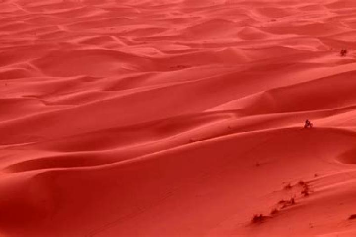 Hazel, 25 — Escort in Meharrize, Western Sahara