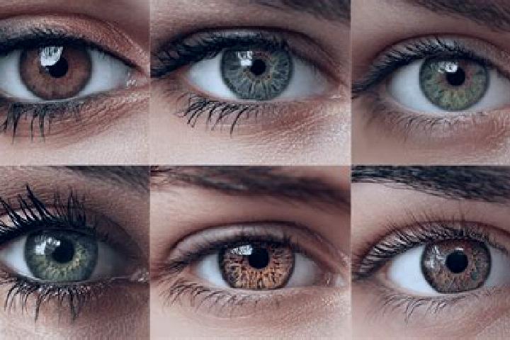 Hazel, 26, a black hazel-eyed middle eastern companion based in Halhul. Offering GFE, Overnight, Dinner Date. Available for incall and outcall, overnight boo...