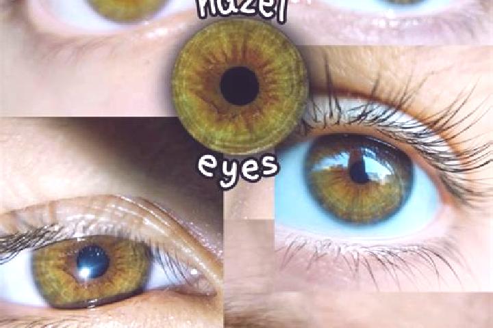 Hazel, 26, a brunette brown-eyed asian companion based in Hazel Green. Offering Overnight, GFE, Girlfriend Experience, Striptease. Available for incall and o...
