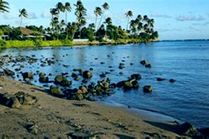 Hazel, 27, a red brown-eyed caribbean companion based in Aina Haina-Hawaii Loa Ridge. Offering Tantra, Party Girl, Dinner Date, Deep French Kissing, GFE. Ava...