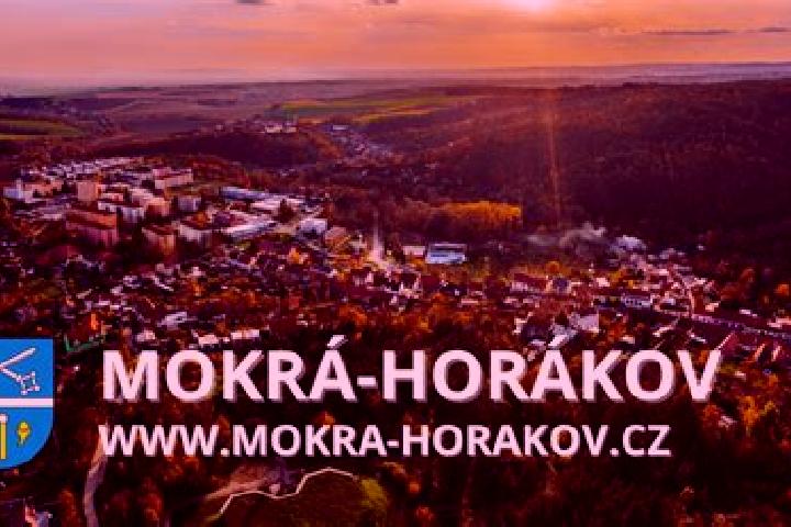 Hazel, 28 — Escort in Mokra-Horakov, Czech Republic