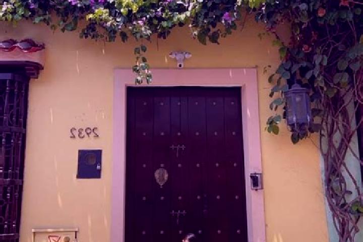 Hazel, 28 — Escort in Pozolapan (Cartagena), Mexico