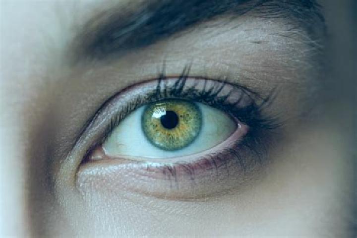 Hazel, 29, a chestnut hazel-eyed mixed companion based in Campos Sales. Offering Domination, OWO, BDSM, Overnight. Available for incall and outcall, day and ...