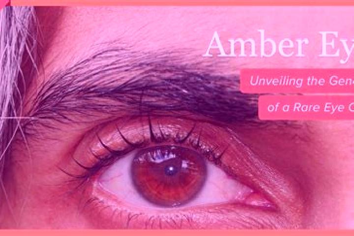 Hazel, 30, a red amber-eyed caucasian companion based in Chiador. Offering Dinner Date, Girlfriend Experience, Deep French Kissing, Prostate Massage. Availab...