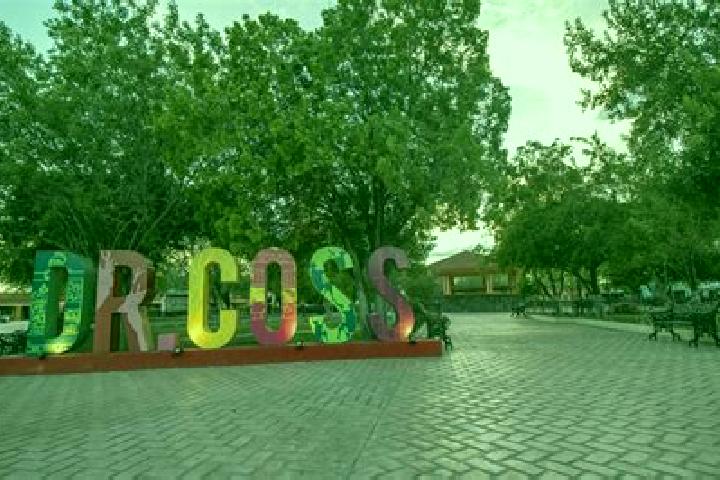 Hazel, 32 — Escort in Doctor Coss, Mexico