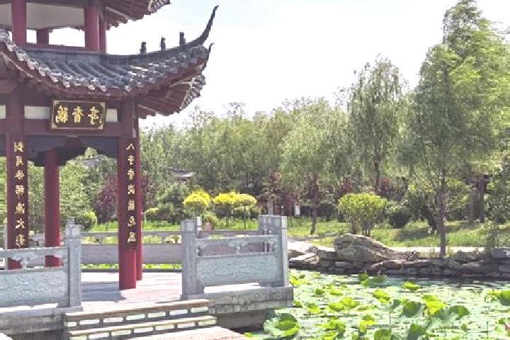 Hazel, 33 — Escort in Nenjiang, China