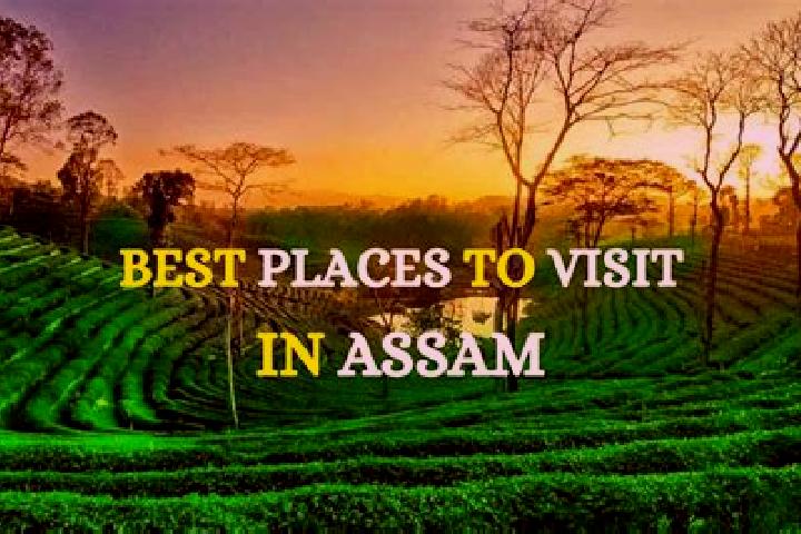 Hazel, 35 — Escort in Asham, India