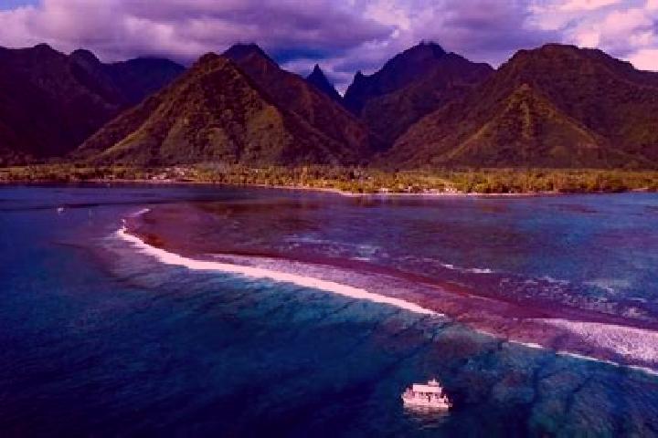 Hazel, 35 — Escort in Teahupoo, French Polynesia