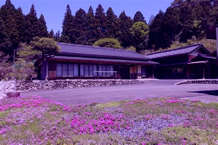 Hazel, 36 — Escort in Yaotsu, Japan