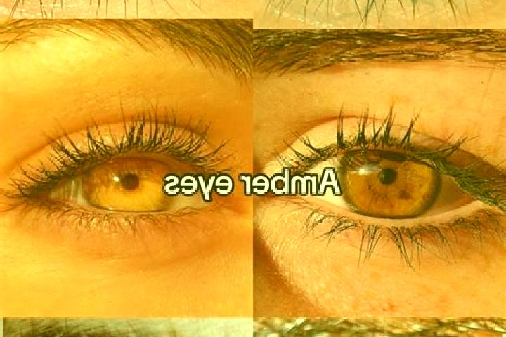 Hazel, 37, a brunette amber-eyed european companion based in Recsk. Offering Travel Companion, CIM, OWO. Available for incall and outcall, day and evening da...