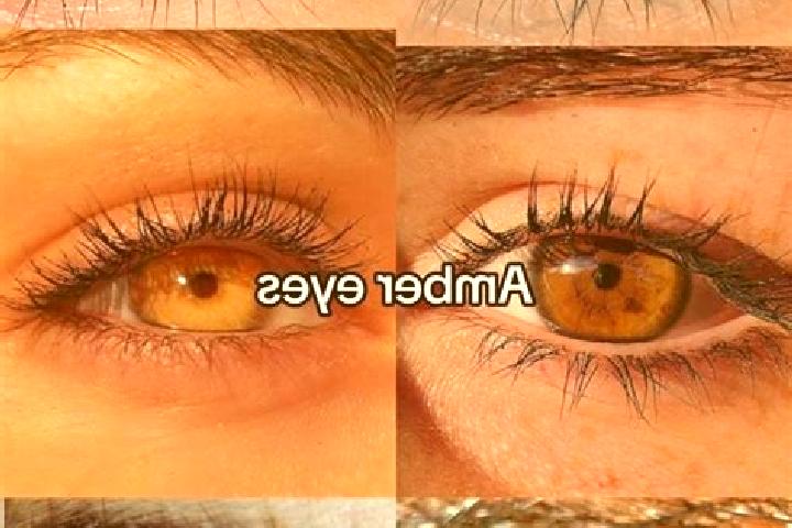 Hazel, 39, a chestnut amber-eyed european companion based in Pucak. Offering Travel Companion, A-Level, Duos. Available for incall and outcall, overnight boo...